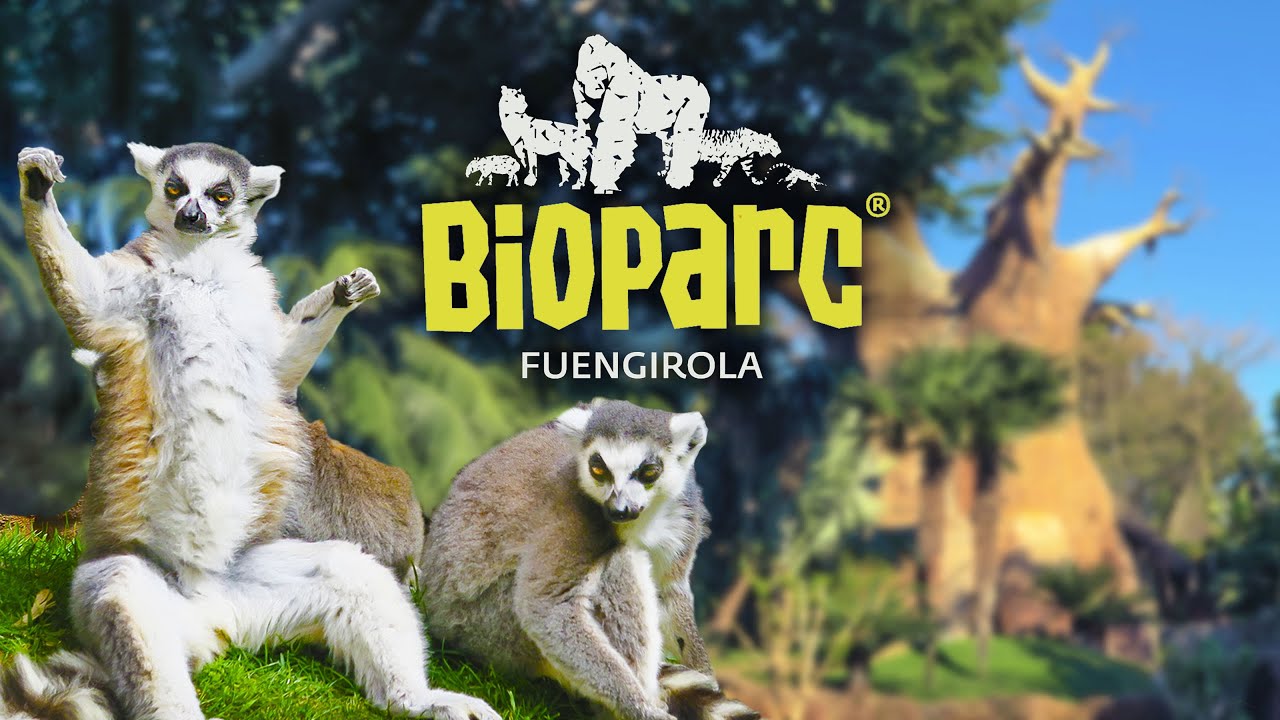Bioparc Fuengirola - Que ver en Fuengirola durante tu escapada