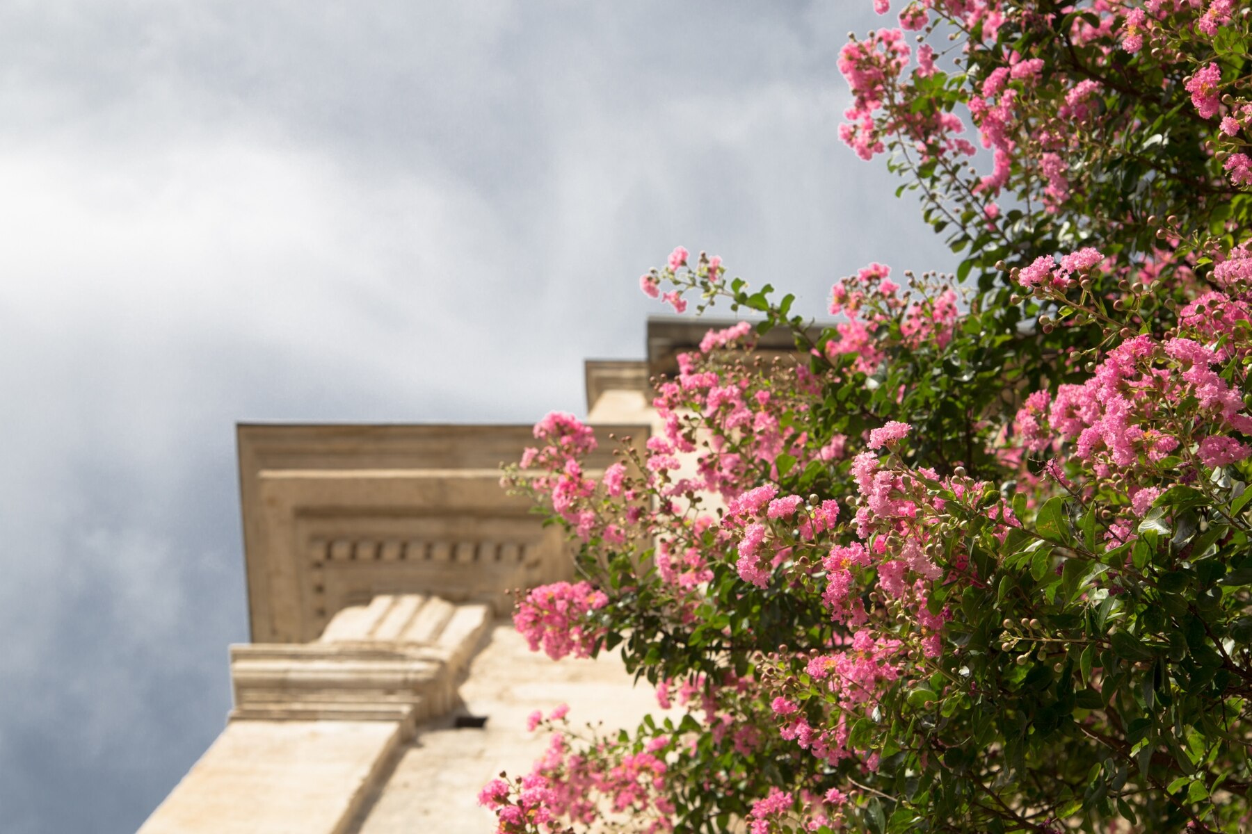 Planes para esta primavera en Málaga-Guía Turística Monarque Hoteles