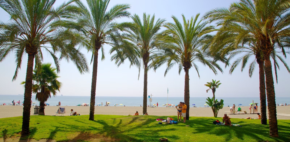 Playa Malagueta