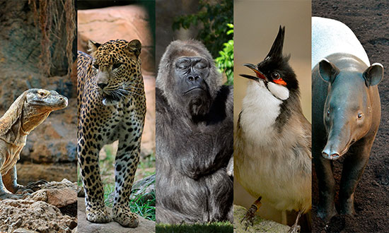 Bioparc